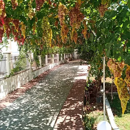 Διαμέρισμα Venus Island *